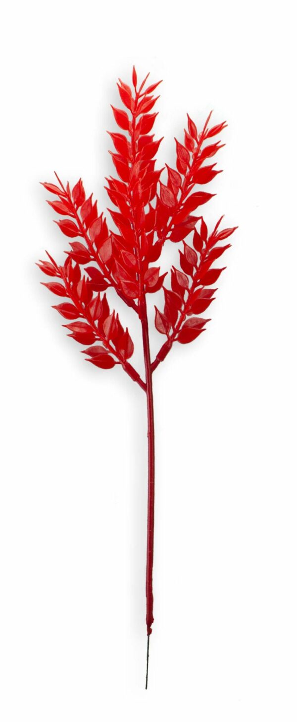 Red Ruscus Pick