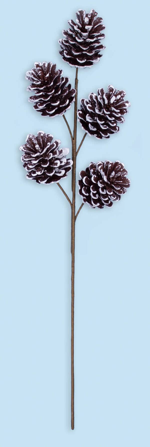 22" Spray With Jumbo Frosted White Tipped Pine Cones