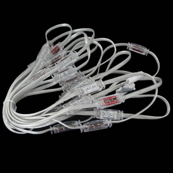 RGBW Clear Wire Light Strand - 2 Light