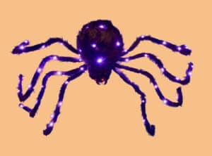 4' Black Lighted Spider
