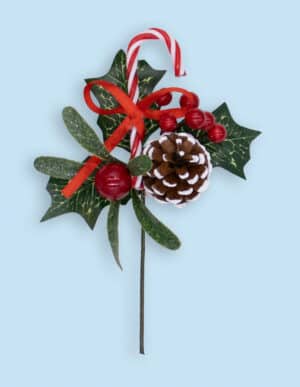 Natural Pick With Mistletoe