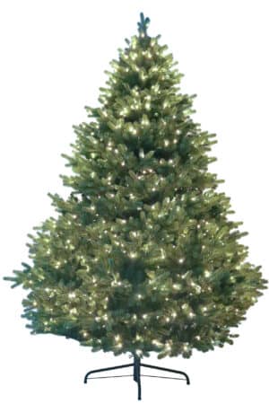 Prelit LED Royal Fraser Fir - 4.5', Warm White